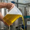Brocca caraffa in plastica trasparente graduata per il travaso di olio oliva