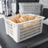 Cassa forata per pane 65 litri ideale per panifici, trasporto e stoccaggio prodotti da forno