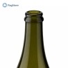 Bocca per tappo a corona da 29 mm della bottiglia emiliana per vini frizzanti