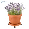 Sottovaso con Ruote 30 cm Bama - Giardinaggio | RagStore