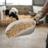 Sessola paletta in plastica tonda per prendere e versare farinacci e mangimi