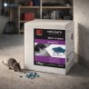 Esca per topi Brody 5.0 Grain in garage con grano blu e ratto