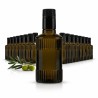 Kit 28 bottiglie Oliena Ribs 250 ml in vetro scuro con tappo anti-frode per olio