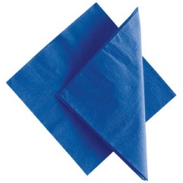 TOVAGLIOLI DOPPIO VELO BLU CM 34x34 TATTO