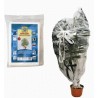 AVVOLGIONI TELO PROTETTIVO Mt 2x4 Pz 2