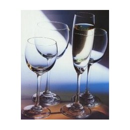 BICCHIERE DANTE DA VINO 4 Pz