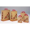 BUSTA CARTA SHOPPER CM 22x10x30 PAPAVERI