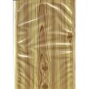 BUSTE SOTTOVUOTO LISCIA CM 20x30 7 COLORI + LACCA 100 Pz