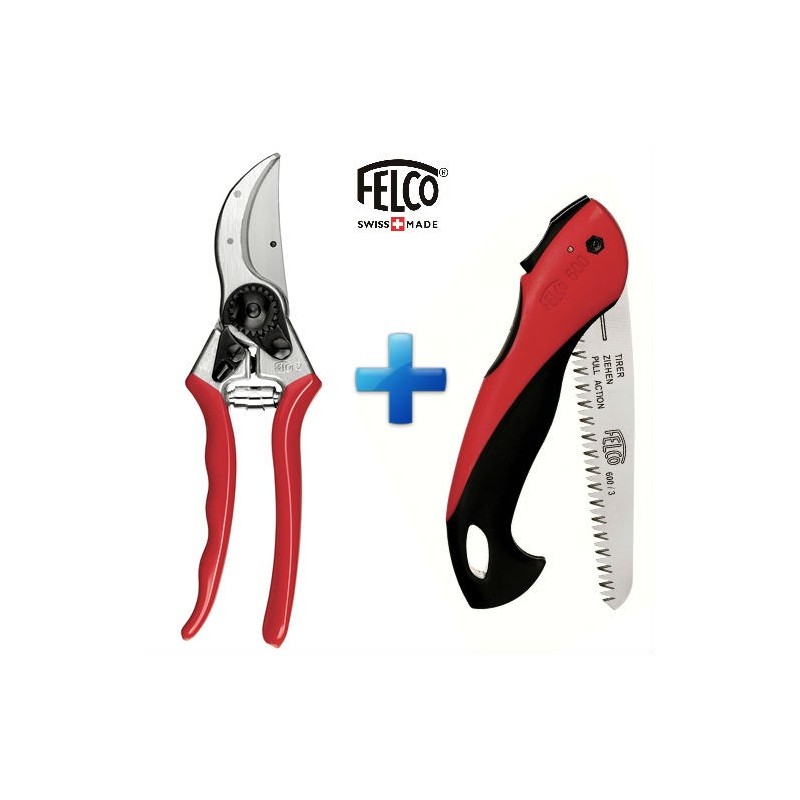 FORBICI POTATURA CLASSIC 2 + SEGHETTO PIEGHEVOLE 600 FELCO