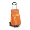 CARRELLO SPESA IDEAL GIMI