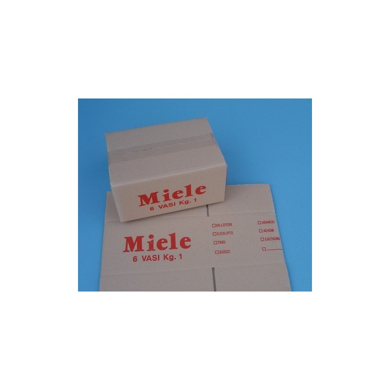 SCATOLA CARTONE MIELE 6 POSTI GR 1000