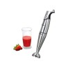 FRULLATORE A IMMERSIONE INOX SM1916 CB BOMANN