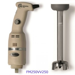 FRULLATORE A IMMERSIONE PROFESSIONALE ACCIAIO 25 CM 250W VV