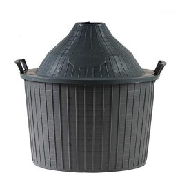 CESTA DAMIGIANA Lt 54