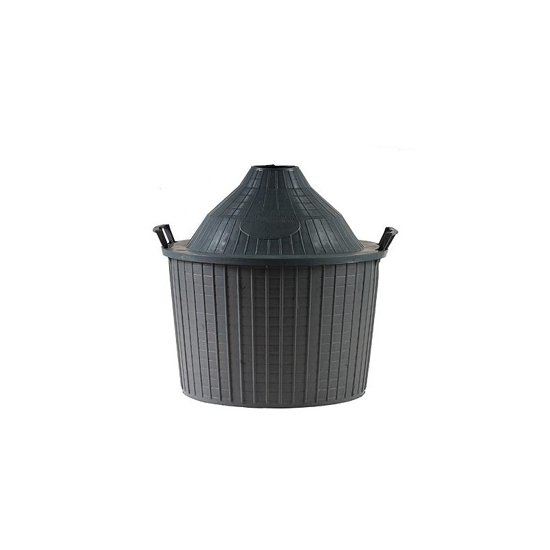 CESTA DAMIGIANA Lt 54