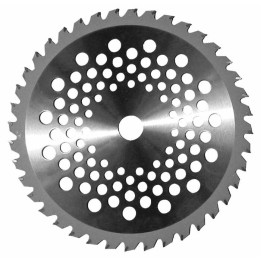 Disco Tungsteno 40 Denti Ø 255 - Decespugliatori | RagStore