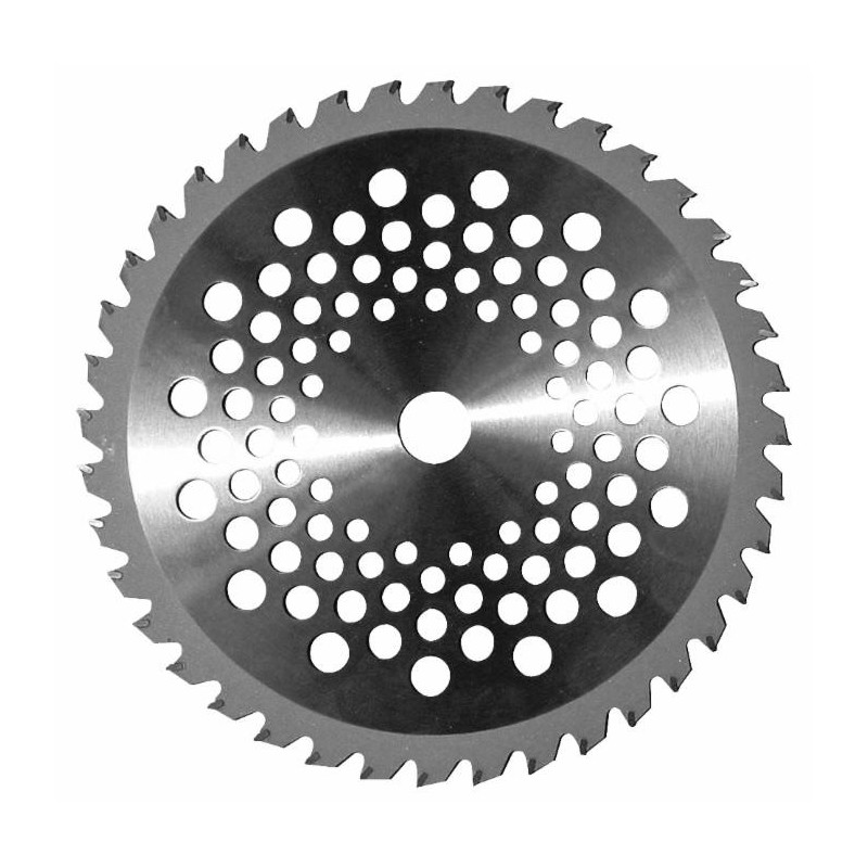 Disco Tungsteno 40 Denti Ø 255 - Decespugliatori | RagStore