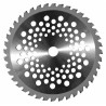 Disco Tungsteno 40 Denti Ø 255 - Decespugliatori | RagStore