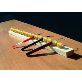 COGLILARVE METALLO CON MANICO LEGNO