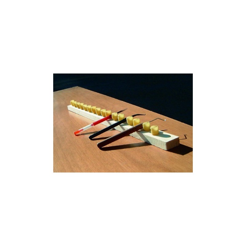 COGLILARVE METALLO CON MANICO LEGNO