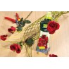 CONCIME LIQUIDO VERDEVIVO KG 1 ROSE