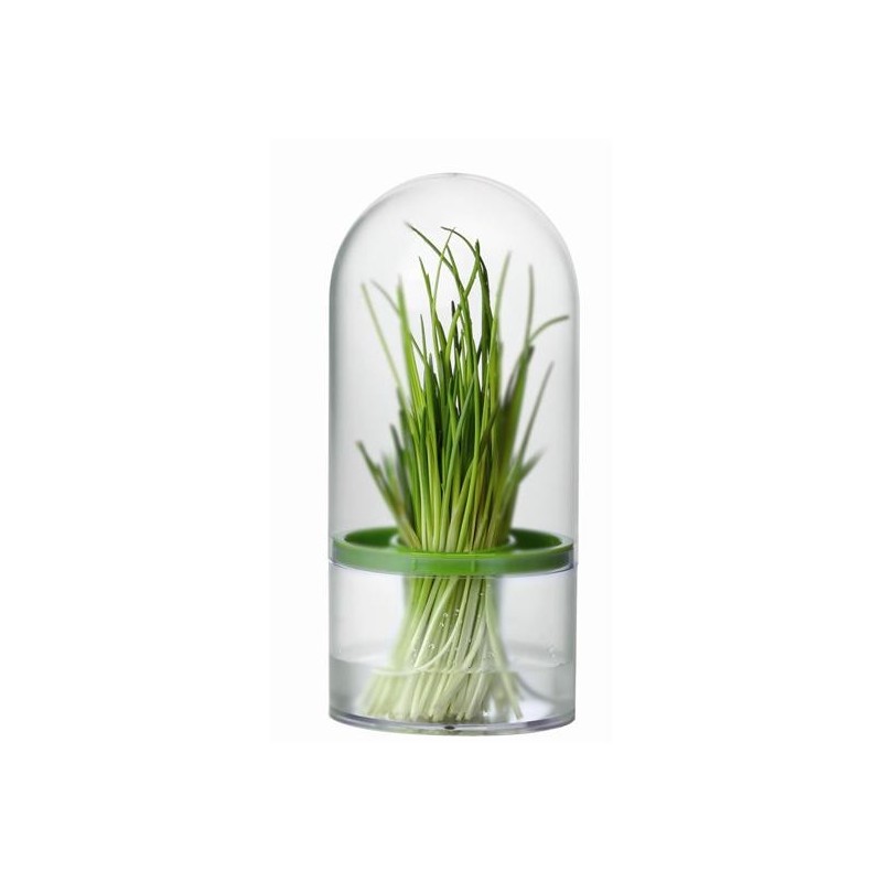 CONTENITORE SALVAFRESCHEZZA PER ERBE AROMATICHE SENSE