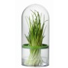 CONTENITORE SALVAFRESCHEZZA PER ERBE AROMATICHE SENSE