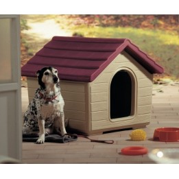 CUCCIA COTTAGE MEDIA