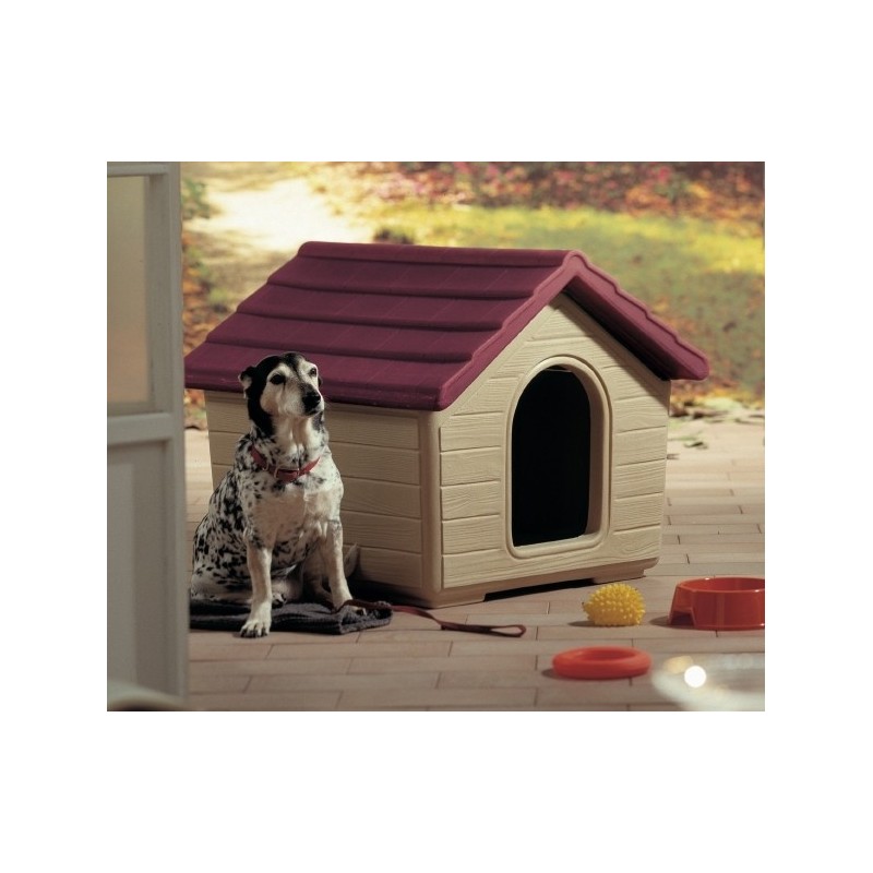 CUCCIA COTTAGE MEDIA