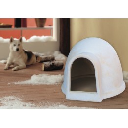 CUCCIA IGLOO MEDIA