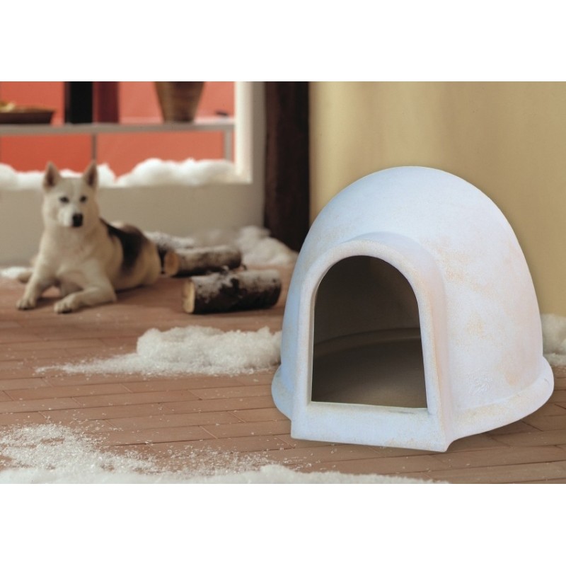 CUCCIA IGLOO MEDIA