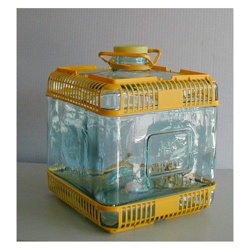 DAMIGIANA QUADRATA B/S Lt 10