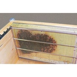ISOLATORE SEMPLIFICATO ANTIVARROA DADANT