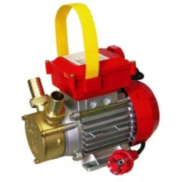 ELETTROPOMPA TRAVASO ROVER 20 ROVERPOMPE