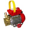 ELETTROPOMPA TRAVASO ROVER 20 ROVERPOMPE