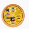 FIACCOLA COTTO  6 SERE CITRONELLA