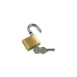 LUCCHETTO OTTONE MM 30