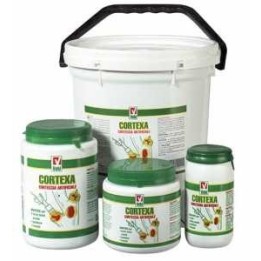 MASTICE CORTEXA GR 1000