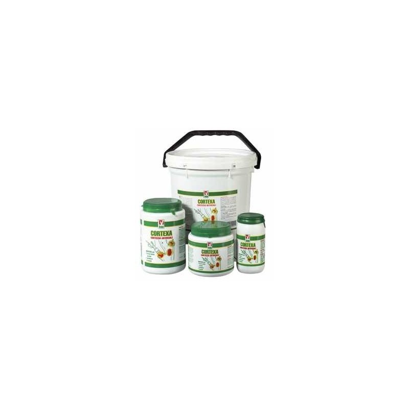 MASTICE CORTEXA GR 1000