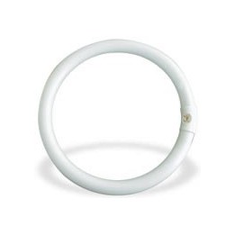 NEON CIRCOLARE 32 W LEUCI