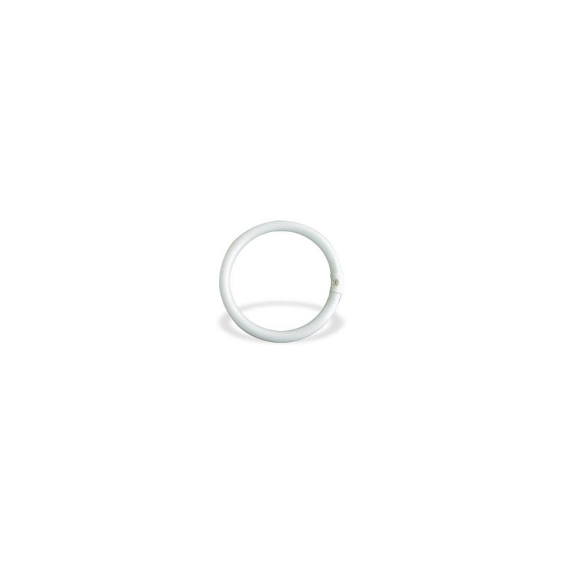 NEON CIRCOLARE 32 W LEUCI