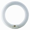NEON CIRCOLARE 40 W REER