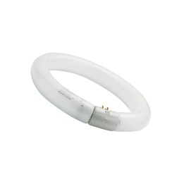 NEON CIRCOLARE FLUORESCENTE DAYLIGHT 32 W