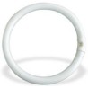 NEON CIRCOLARE FLUORESCENTE DAYLIGHT 40 W