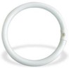 NEON CIRCOLARI TLE 22 W LEUCI