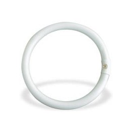 NEON CIRCOLARI TLE 40 W PHILIPS