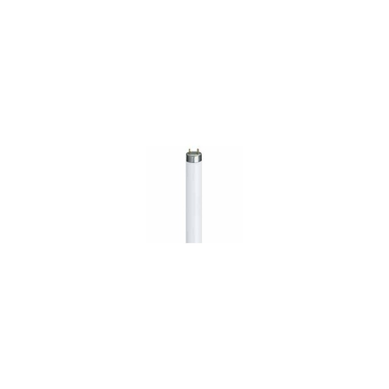 NEON LINEARE DAYLIGHT 18 W OSRAM