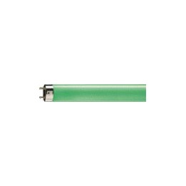 NEON LINEARE GREEN 36 W/66 OSRAM
