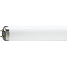 NEON LINEARE NATURA 18 W/76 OSRAM