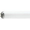 NEON LINEARE NATURA 18 W/76 OSRAM
